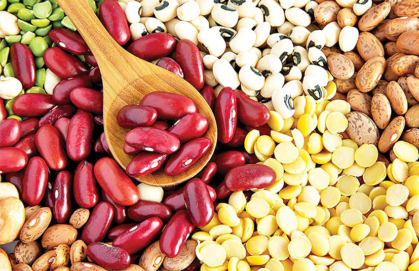 دستورالعمل  عمومی تغذیه‌ایی حبوبات در طول مراحل رشد فنولوژیکی گیاه